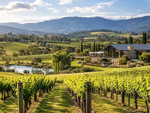 Yarra-Valley
