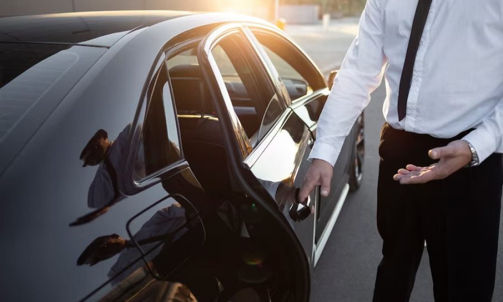 professional chauffeurs